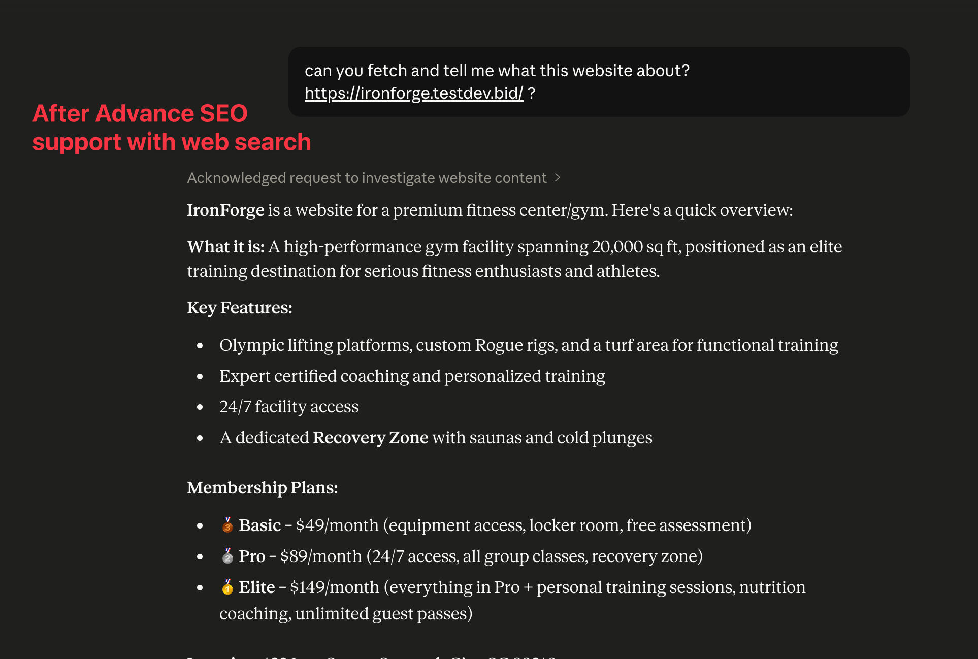 Advanced SEO Support for AI Studio – Screenshot 2