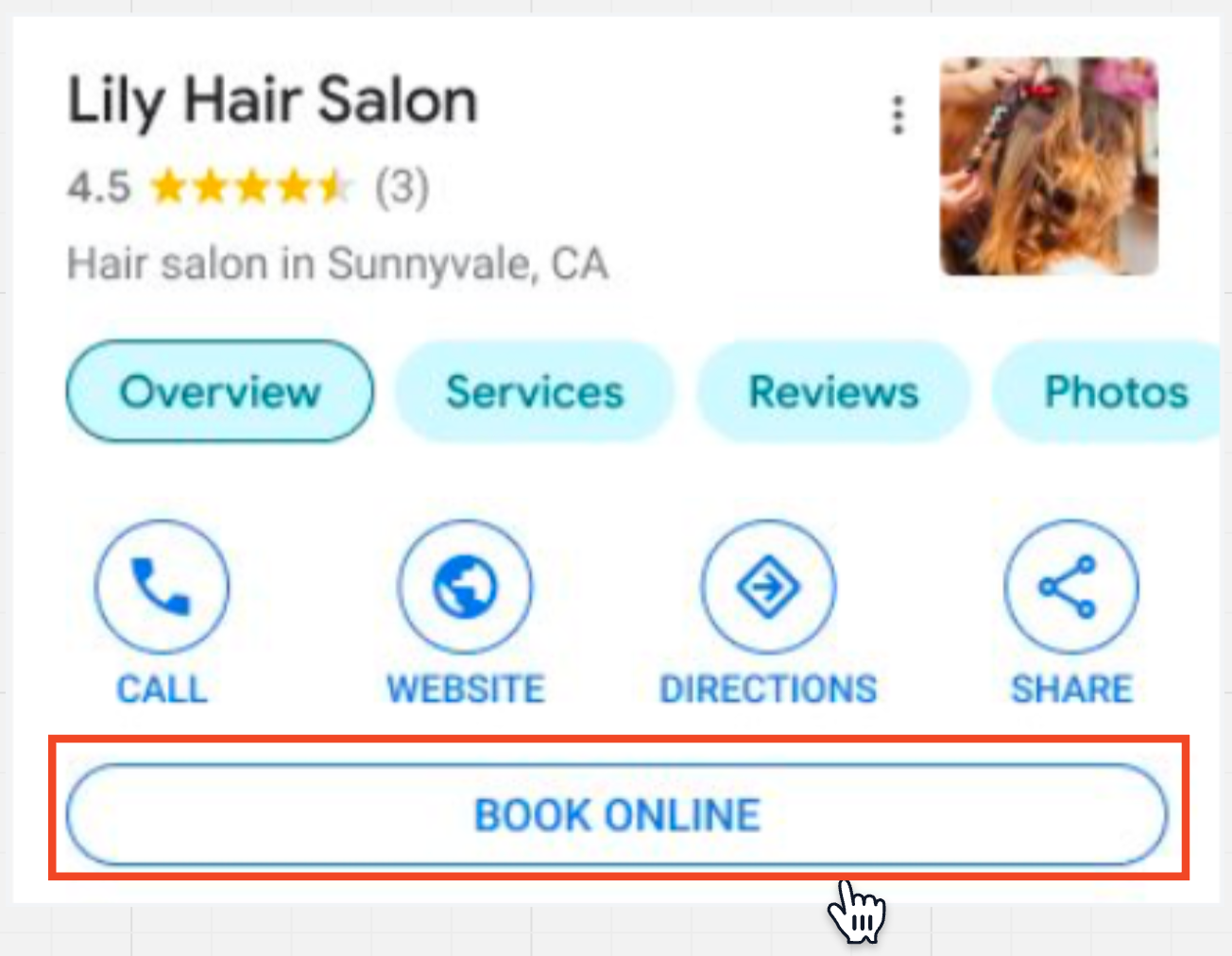 Booking Redirect with Google (Google Organic Booking) – Step 1: Primary Action Feed (Book Online Button)