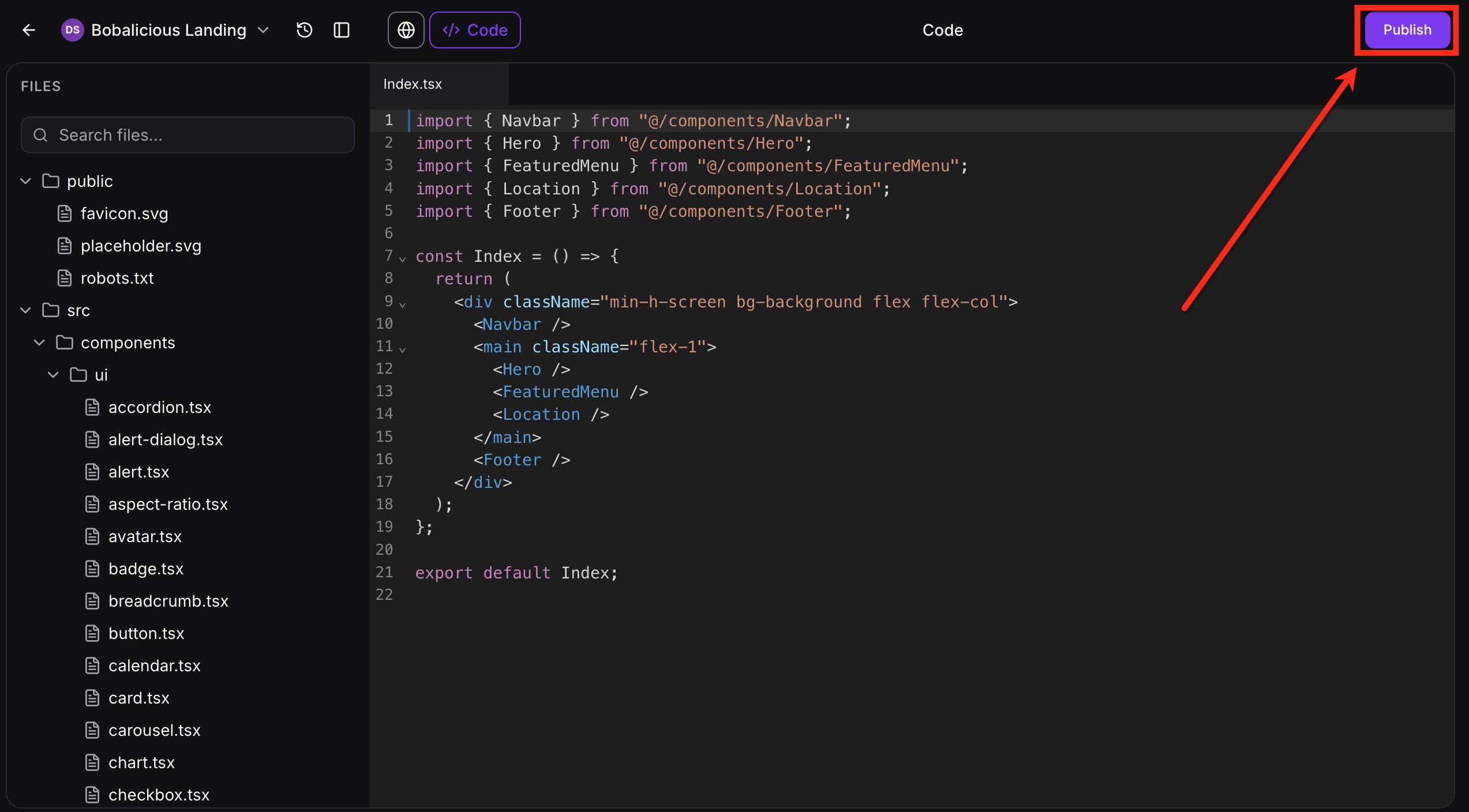 Code Editor in AI Studio – Step 5: Publish your project