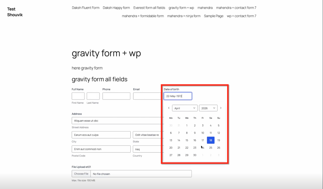 External Tracking: Capture Website Form Submissions Automatically – Step 4: Submit the Form