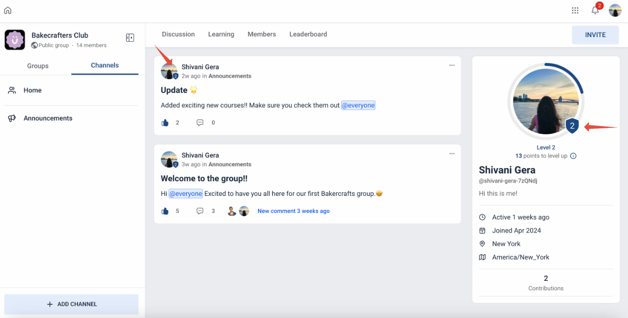 Gamification – Points, Badges and Leaderboard – How do levels and points work?