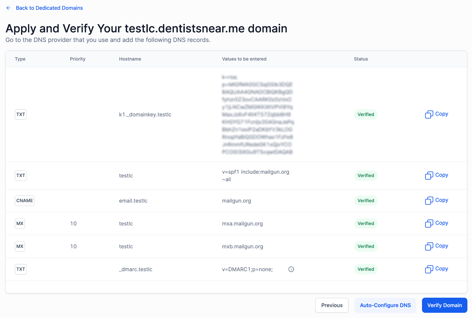 How to Add a Domain and Verify DNS Record – Option 2: Set Up Manually