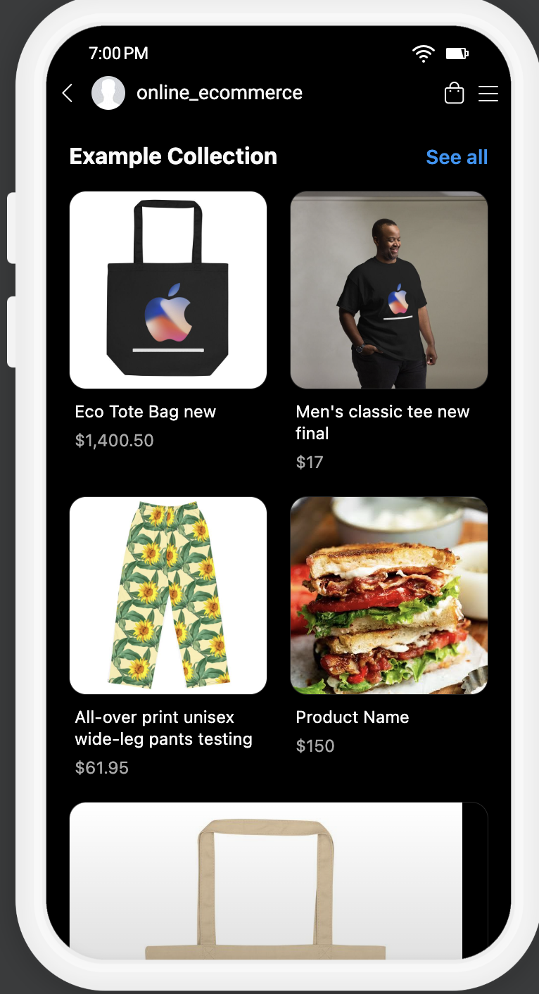Facebook and Instagram Shops Setup – Preview of Instagram shop: