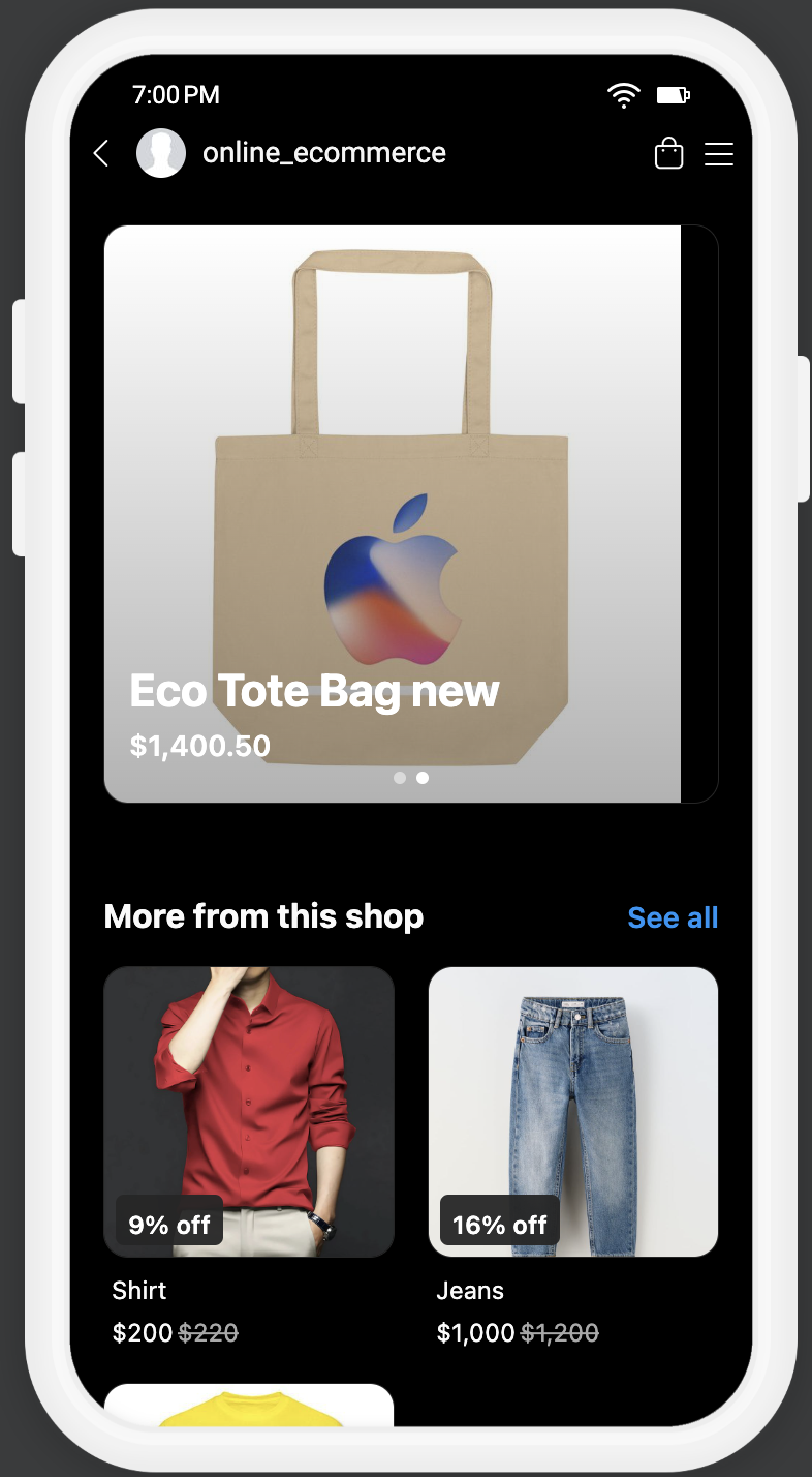 Facebook and Instagram Shops Setup – Preview of Instagram shop: