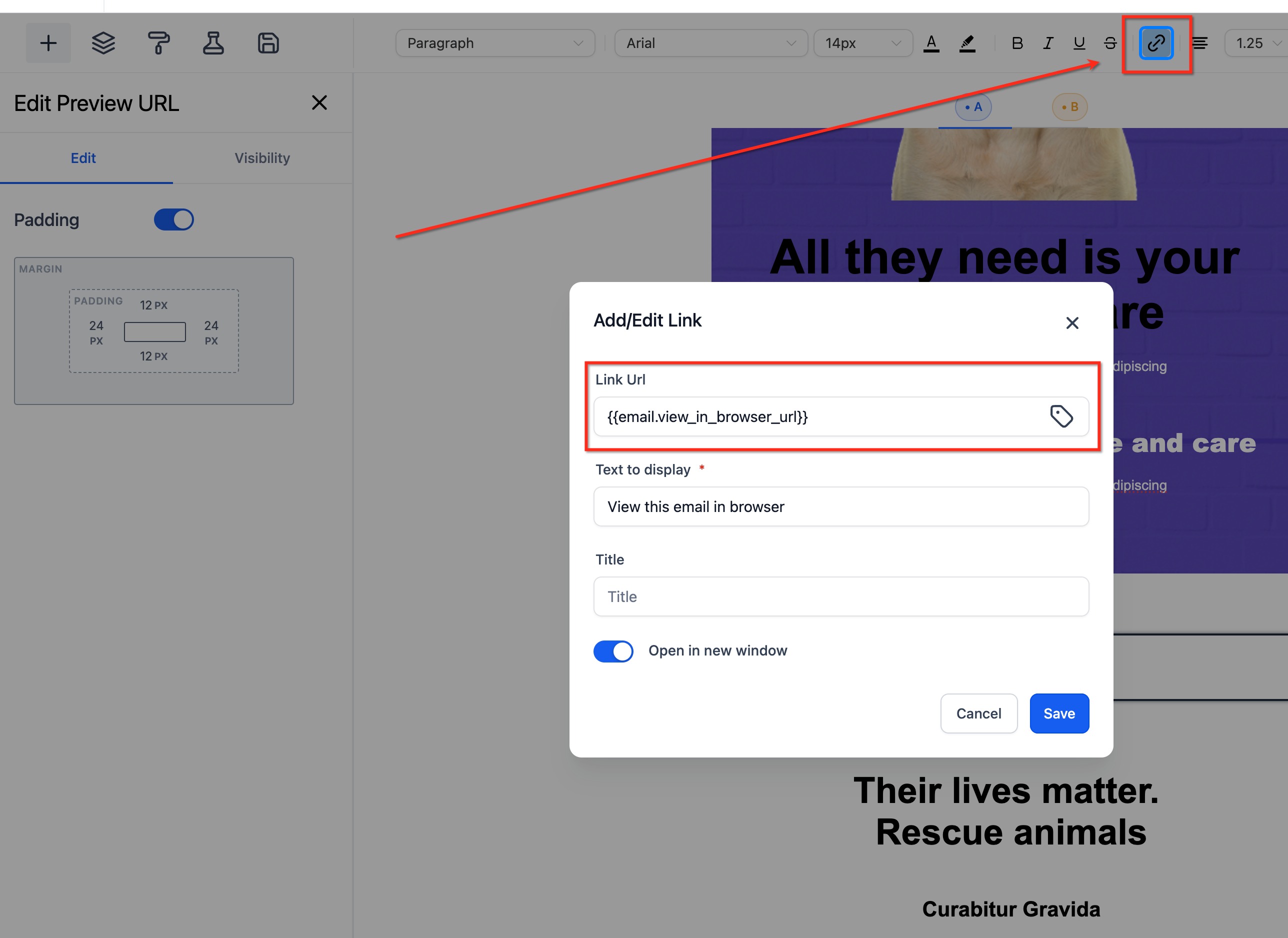 How to use the Email Builder and its In-line Editor – How to Add: