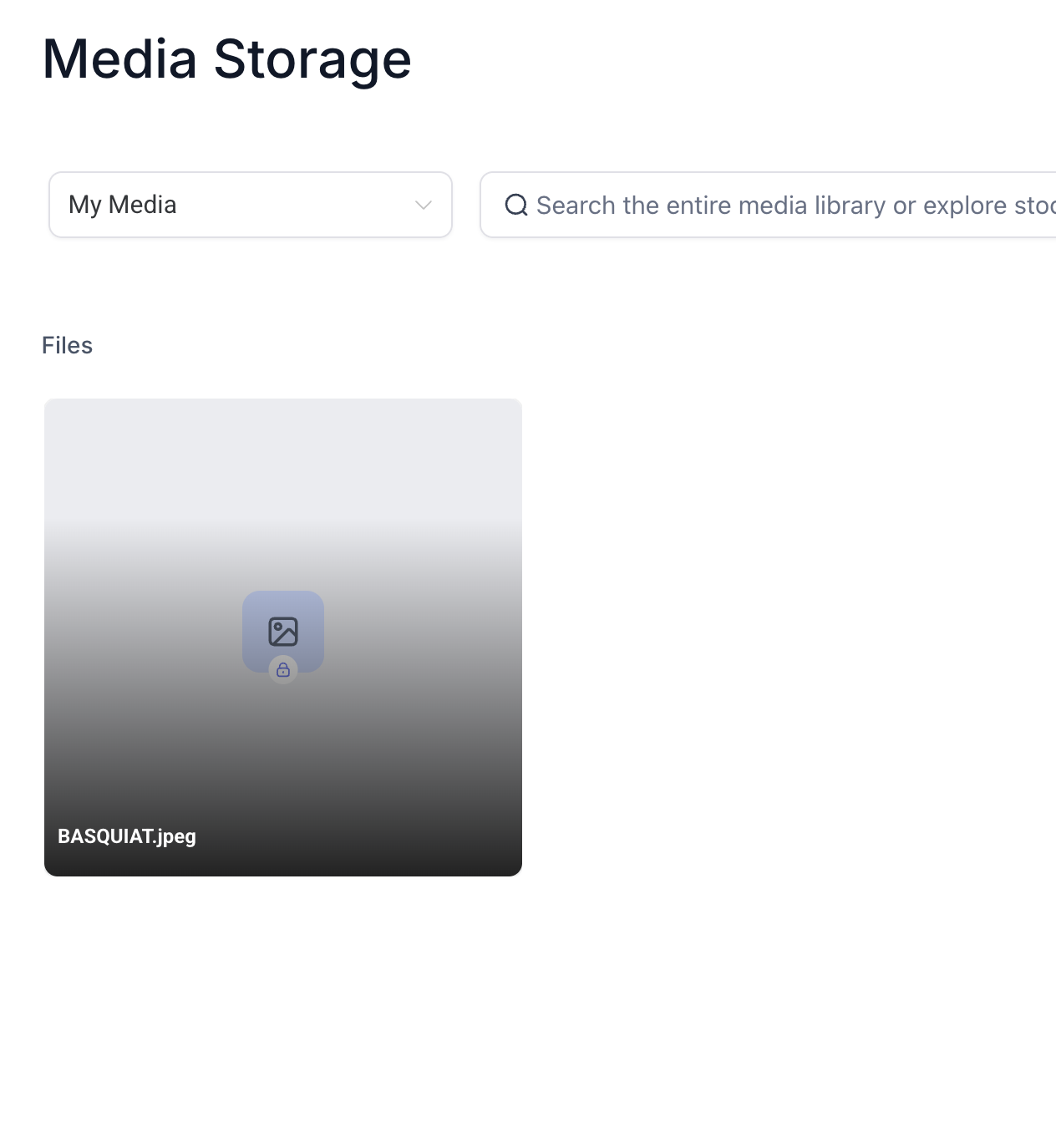 Complete Guide to Media Storage! – How to Identify Private Files