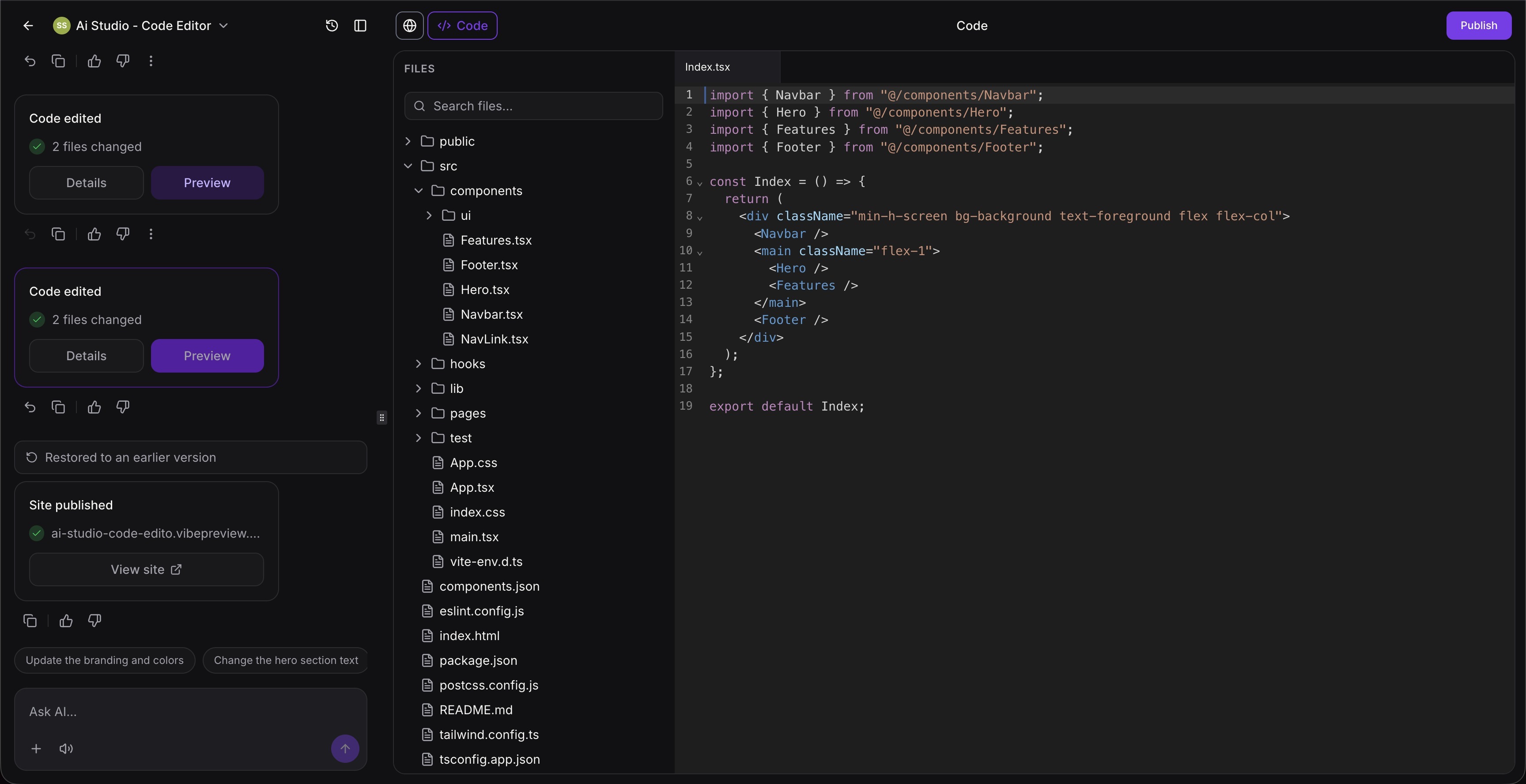 Code Editor in AI Studio