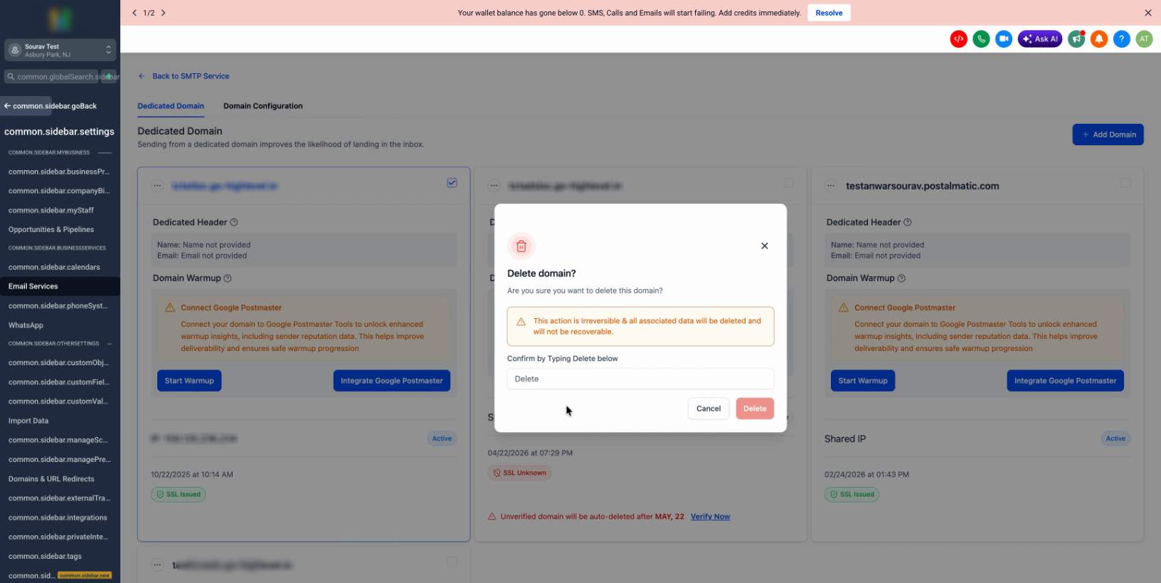 Domain Removal Blocked Due to Active Campaign Assignment – Final domain delete confirmation with the required confirmation text entered