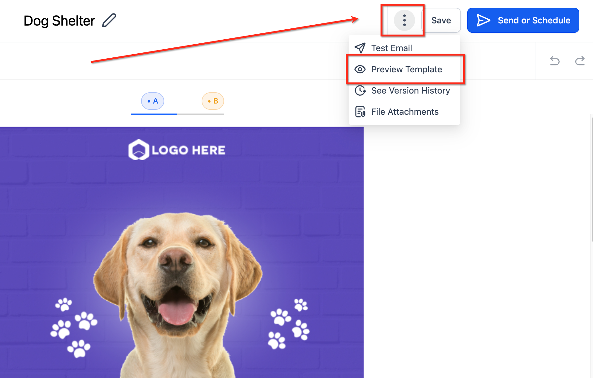 How to edit your Email Format for Mobile under Appearance tab – How to Preview Your Email