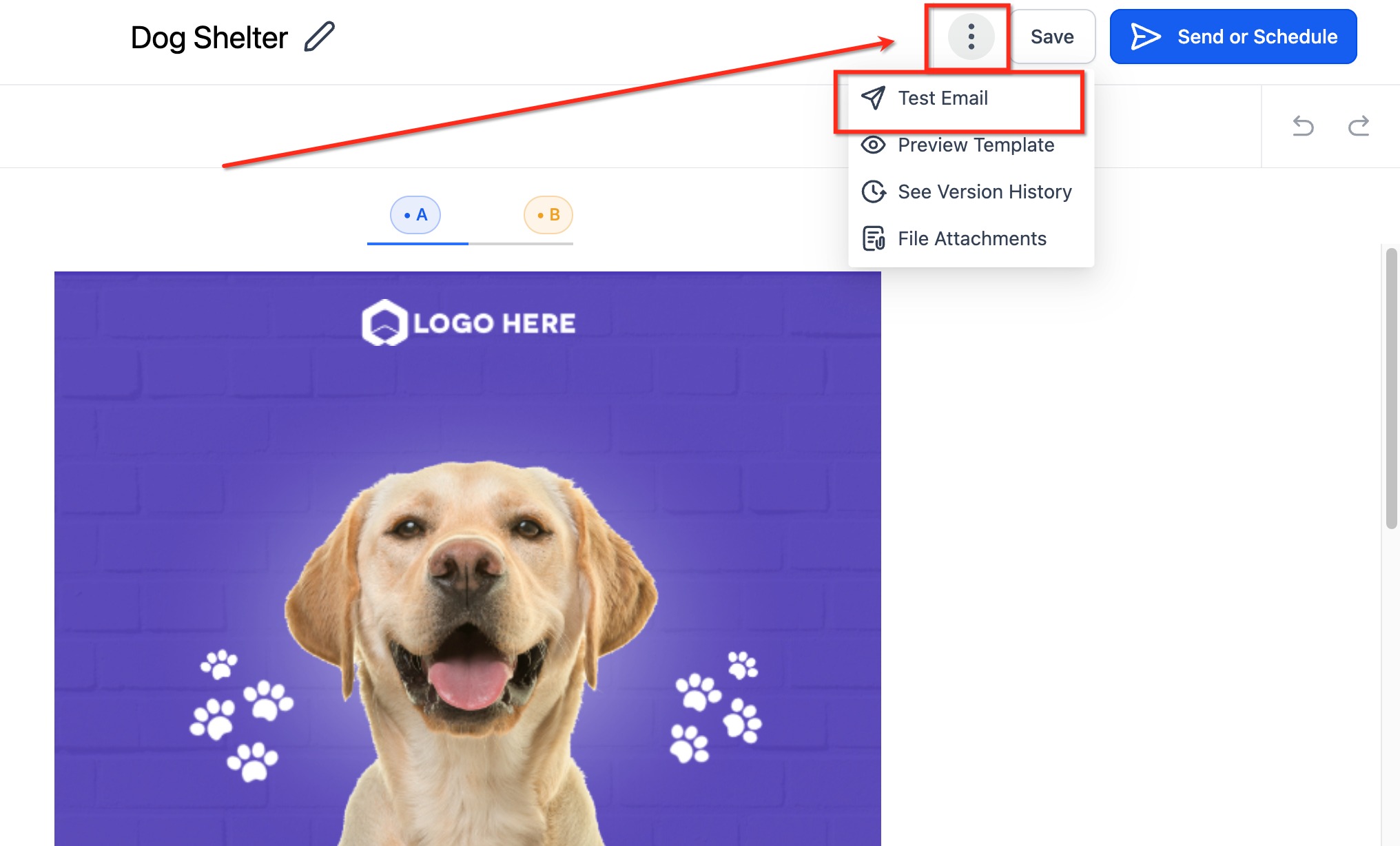 How to edit your Email Format for Mobile under Appearance tab – How to Send a Test Email